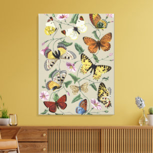 Impressão Em Tela Arte Floral Botânica de Mariposa Borboleta Vintage
