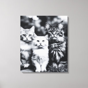 Impressão Em Tela Arte Fotográfica de Gato Preto e Branco