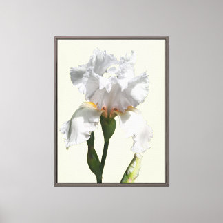 Impressão Em Tela Arte fotográfico em tela de flor de íris branca