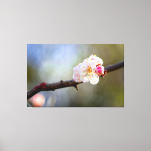 Impressão Em Tela Arte Minimalista de Ume Japonês em Flor