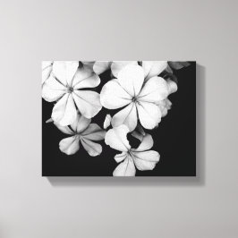 Impressão Em Tela Arte Monocromático Vintage de Plumbago
