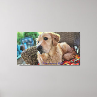 Impressão Em Tela Arthur, September 2025