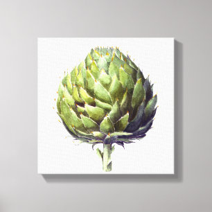 Impressão Em Tela Artichoke botânica aqucolor