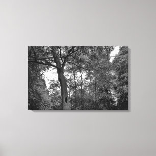 Impressão Em Tela Árvore com buraco misterioso II