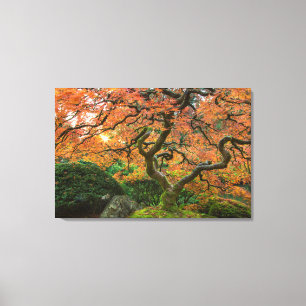 Impressão Em Tela Árvore de bordo nos jardins japoneses no outono