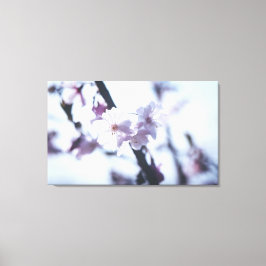 Impressão Em Tela árvore de floração primavera