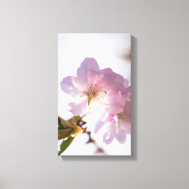 Impressão Em Tela árvore de floração primavera