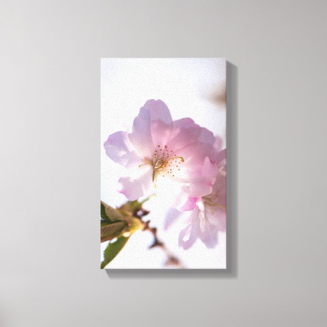 Impressão Em Tela árvore de floração primavera (Frente)