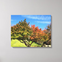 Impressão Em Tela Árvore de Mapeamento Colorida no outono