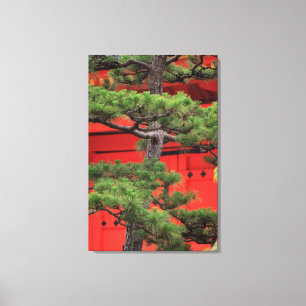 Impressão Em Tela Árvore de Pinheiro Bonsai