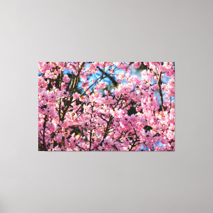 Impressão Em Tela Árvore de Sakura de tirar o fôlego em floração ros