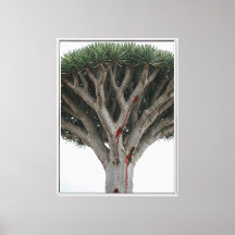 Árvore de Sangue de Dragão Paisagem Mística Surre