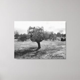 Impressão Em Tela árvore de solitários