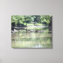 Impressão Em Tela Árvore desbotada na água