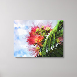 Impressão Em Tela Árvore Florindo Mimosa Rosa