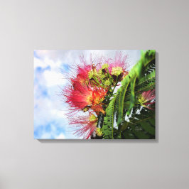 Impressão Em Tela Árvore Florindo Mimosa Rosa 
