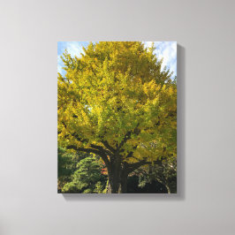 Impressão Em Tela Árvore Ginkgo de Amarelo Ouro