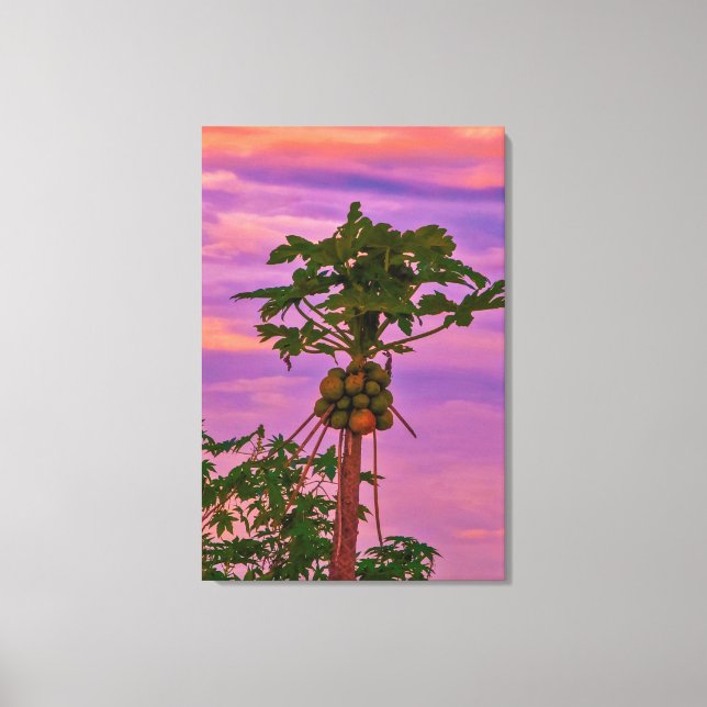 Impressão Em Tela Árvore Papaya E Sunset Brasileiro (Frente)