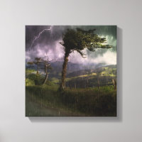 Árvore soprando no vento durante tempestade