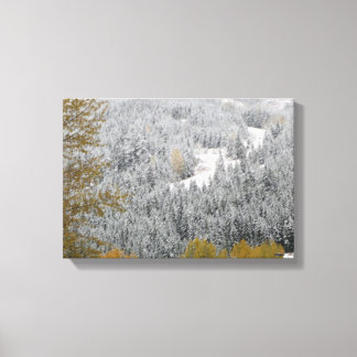 Impressão Em Tela Árvores Cobertas de Neve em Whistler, B.C.