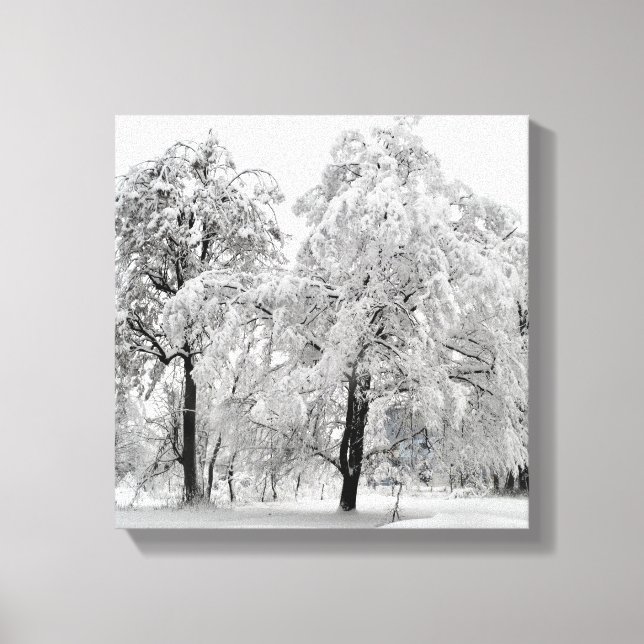 Impressão Em Tela Árvores de inverno (Frente)
