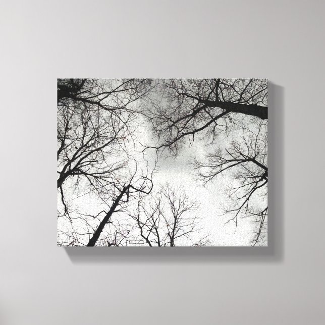 Impressão Em Tela Árvores de Inverno Céu Nublado (Frente)