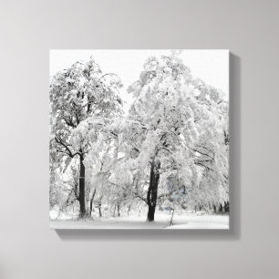 Impressão Em Tela Árvores do inverno