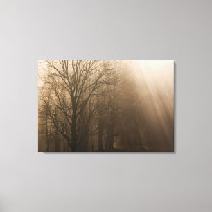 Impressão Em Tela Árvores do Tennessee no Excelente americano Mount