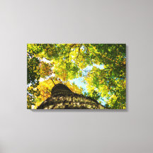 Árvores Naturais Verde e Amarelo