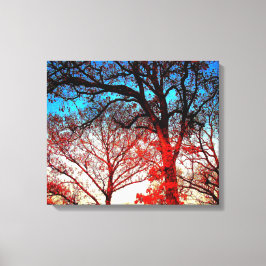 Impressão Em Tela Árvores Negras e Brancas em Foto de inverno