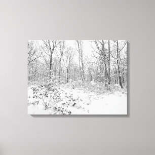 Impressão Em Tela Árvores nevado no Poconos