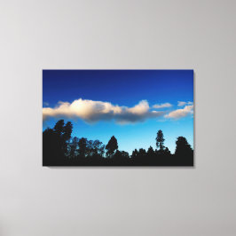 Impressão Em Tela Árvores Silhuetadas ao anoitecer