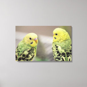 Impressão Em Tela As raparigas