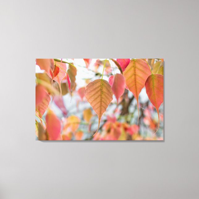 Impressão Em Tela Asathu Plant Baby Sai Carregando Buda (Frente)