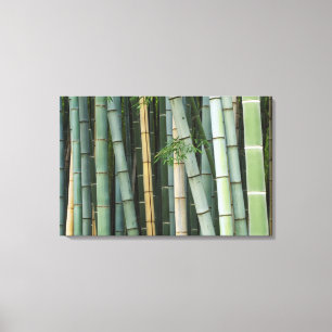 Impressão Em Tela Ásia, Japão, Quioto, Arashiyama, Sagano, Bamboo