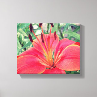 Impressão Em Tela Asiatic Lily