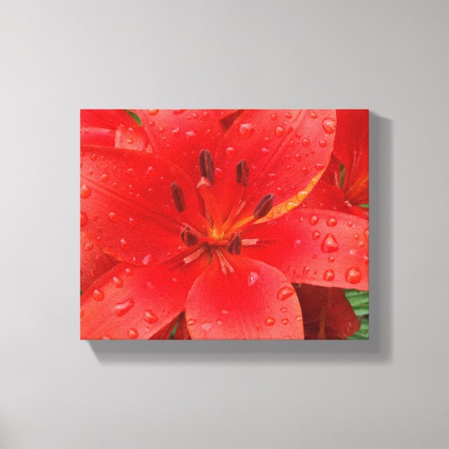 Impressão Em Tela Asiatic Lily (Frente)