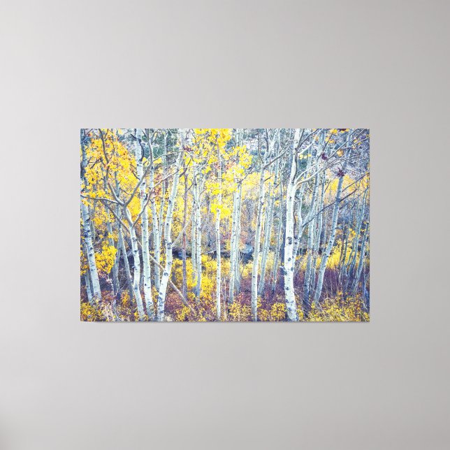 Impressão Em Tela Aspen Forest (Frente)