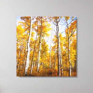 Impressão Em Tela Aspen Groove Yellow Fall Folies