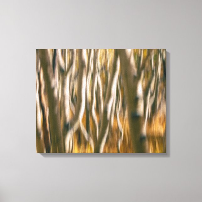 Impressão Em Tela Aspen Trees Abstrato (Frente)