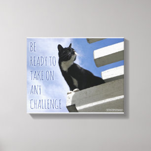 Impressão Em Tela Assuma a Motivação Mundial de Gatos Bonitos