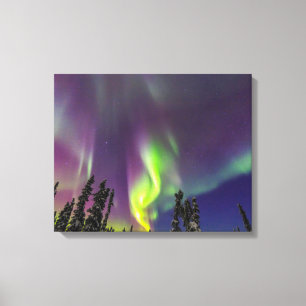 Impressão Em Tela Aurora Boreal   Fairbanks, Alasca
