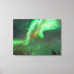 Impressão Em Tela Aurora Boreal Luzes do Norte   Fairbanks