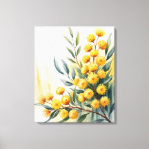 Austrália — Aquarela Acácia Dourada
