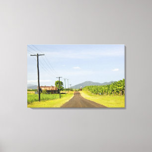 Impressão Em Tela Austrália, Queensland, Costa Norte, Babinda.