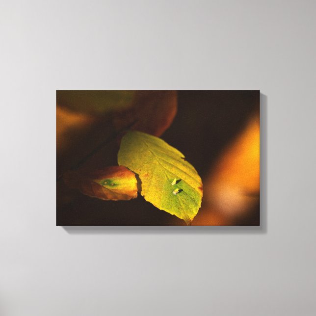 Impressão Em Tela Autumelo (Frente)