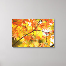 Impressão Em Tela Autumn Leaves [Canvas Print]
