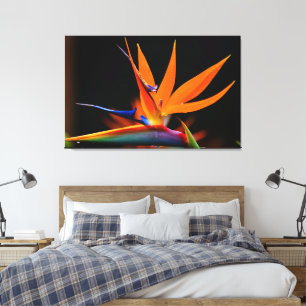 Impressão Em Tela Ave Flamboyant da Flor do Paraíso
