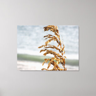 Impressão Em Tela Aveia do Mar, Brisa do Mar