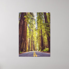 Impressão Em Tela Avenida dos Giants